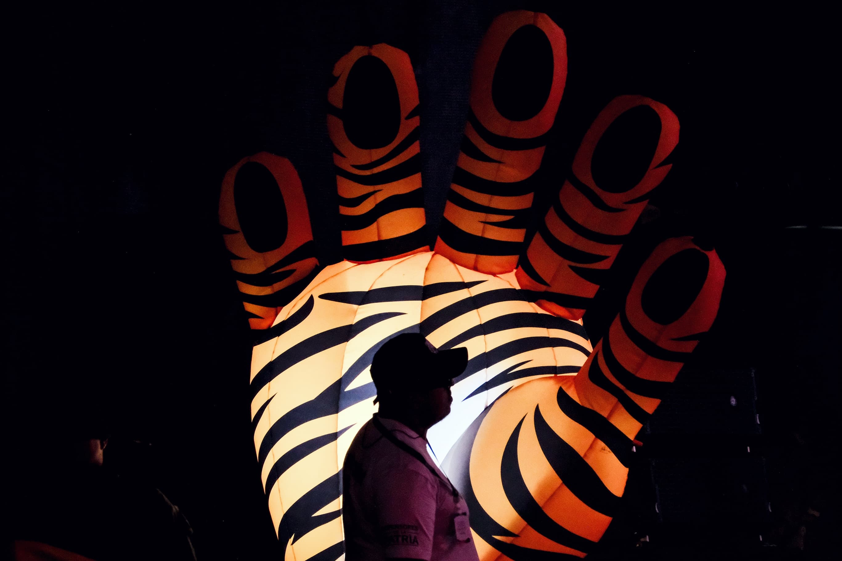 Silueta ante una gran mano de tigre iluminada, símbolo de la campaña